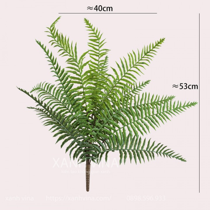 Cây giả dương xỉ hoàng đế